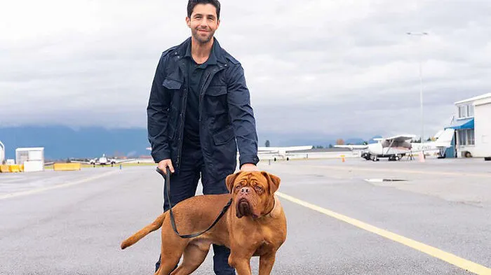 Wie in der Vorlage kommt die Hauptfigur (Josh Peck) unverhofft zu einem Hund 