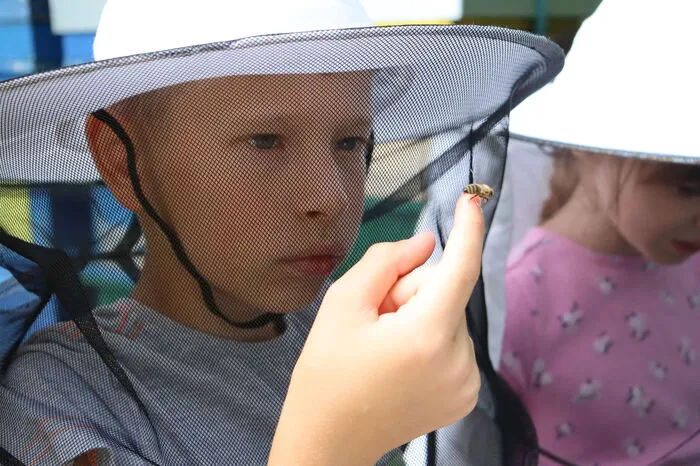 Die Kinder schauten sich die Bienen ganz genau an.