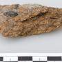 2.600 Jahre altes menschliches Exkrement aus dem Hallstätter Salzberg