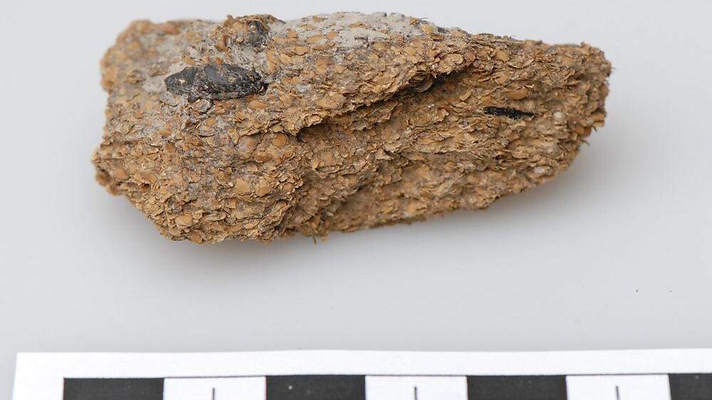 2.600 Jahre altes menschliches Exkrement aus dem Hallstätter Salzberg