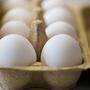 Die Erzeugerpreise müssten nun um mindestens 2 Cent pro Ei angehoben werden, fordern die Eier-Produzenten