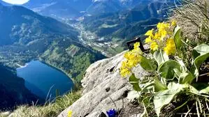 Das Pfingstwetter ist, laut Vorhersage, vielversprechend