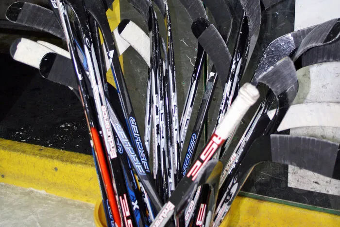 Zu der eisigen Veranstaltung luden die steirischen Sportdachverbände Askö, Asvö und Sportunion sowie die Fachverbände Eis- und Stocksport, Eishockey und Eislaufen unter der Patronanz von Bewegungsland Steiermark.