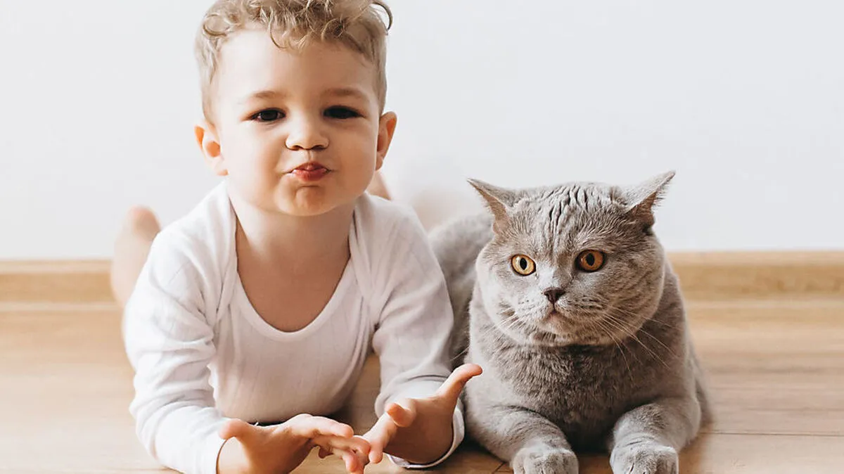 Tiere wirken sich positiv auf die Konzentration und Ausdauer der Kinder aus