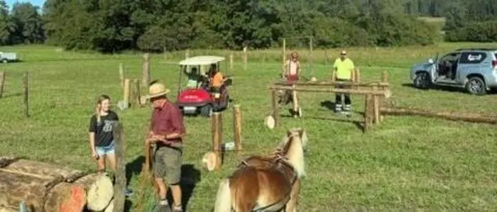 Pferde auf einer Wiese mit Menschen