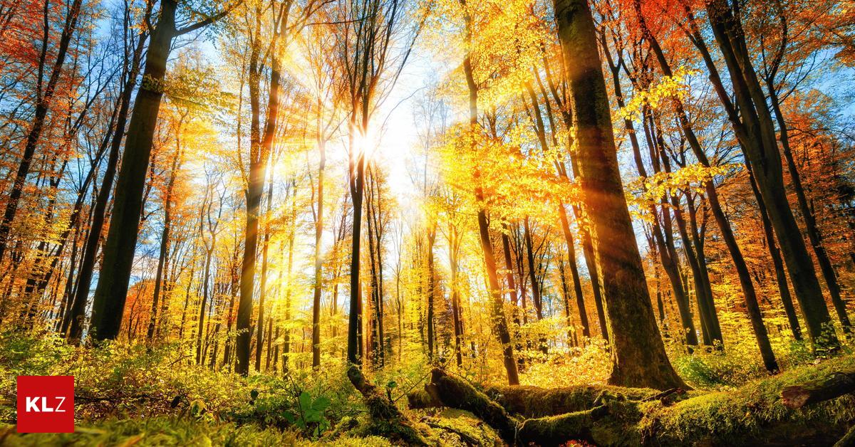 Bis-17-Grad-Den-Steirern-bl-ht-ein-herbstlich-warmer-Wochenstart