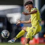 Zwei bis vier Wolfsburg-Spieler sollen pro Saison künftig das gelb-blaue Trikot von St. Pölten tragen.