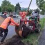 Die Ausgrabung der Bäume war ein aufwändiges Projekt