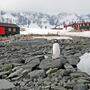 Direkt hinter der historischen Forschungsstation Port Lockroy in der Antarktis erhebt sich der spektakuläre Luigi Peak