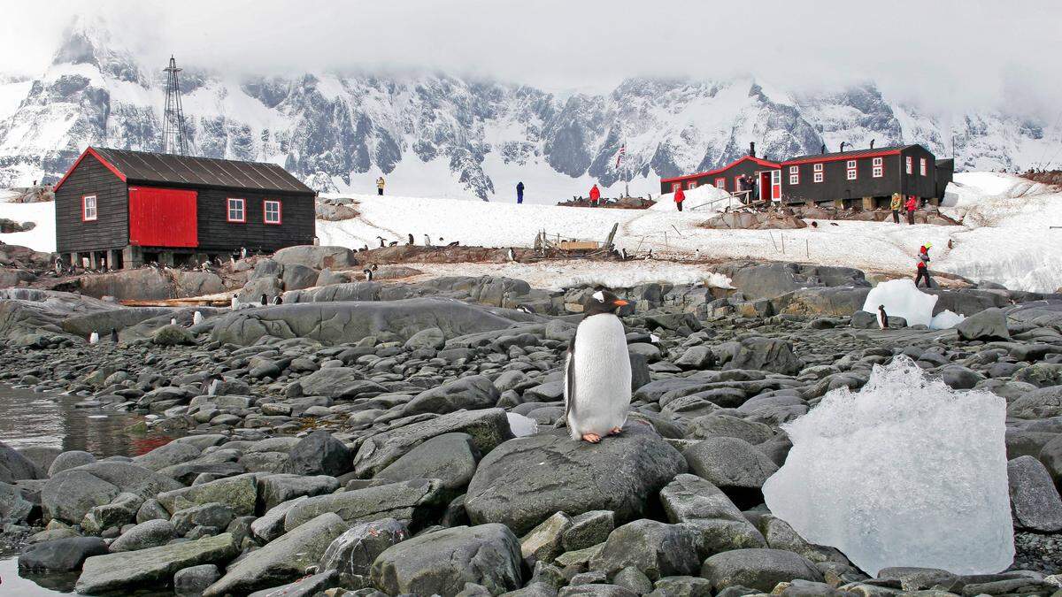 Direkt hinter der historischen Forschungsstation Port Lockroy in der Antarktis erhebt sich der spektakuläre Luigi Peak