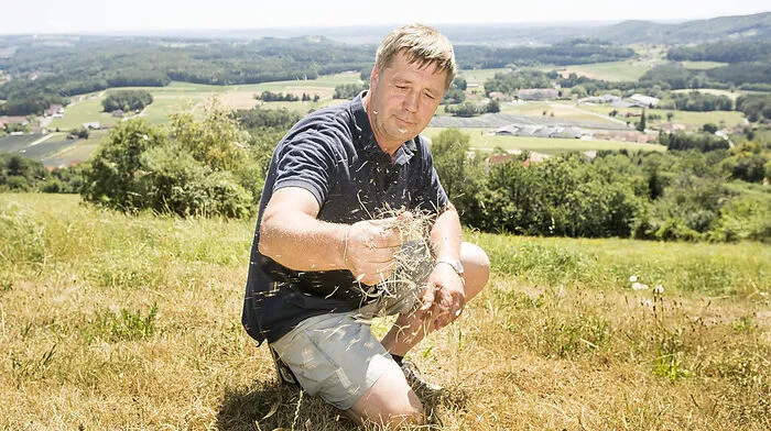 Bei der letzten großen Dürre im Sommer 2013 gab es noch kleine Versicherung für Grünlandbauern.