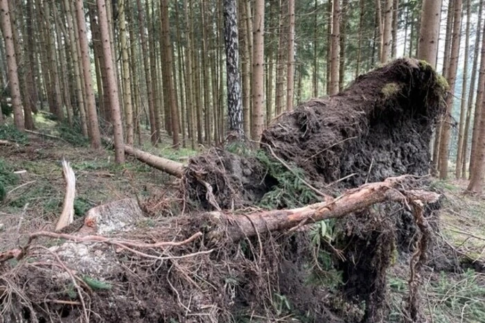Die Fotos sind im Gemeindegebiet von St. Margarethen entstanden.