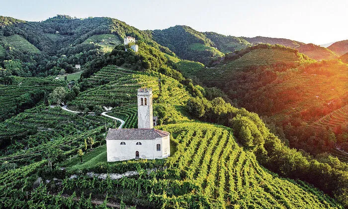 Die Prosecco-Hügel in der Provinz Treviso gehören nun zum UNESCO-Weltkulturerbe