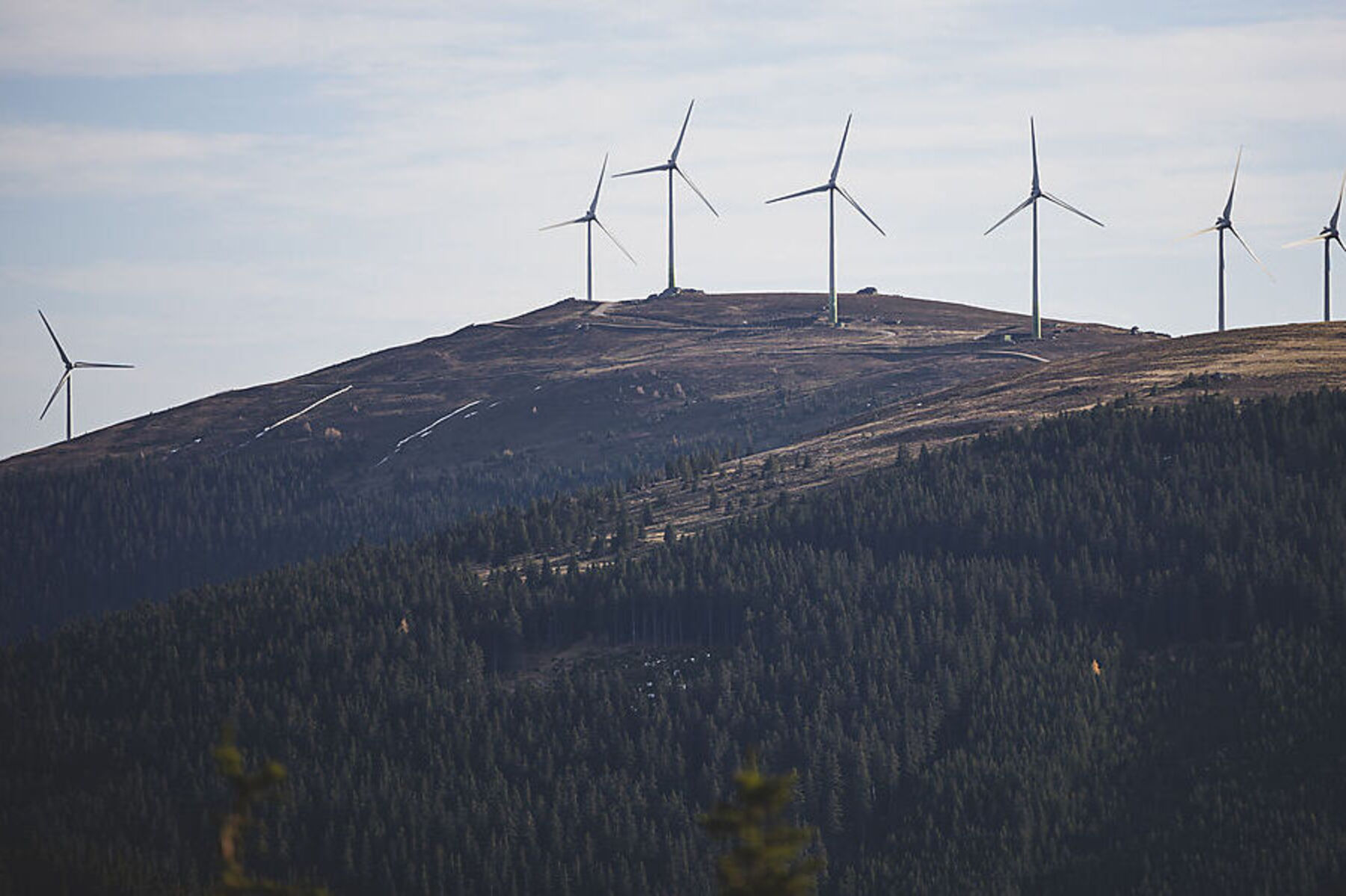 Wie viele Windräder? Kärnten hält an umstrittener Zonierung fest
