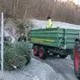 Am Samstag, 8. Jänner, werden Christbäume abgeholt