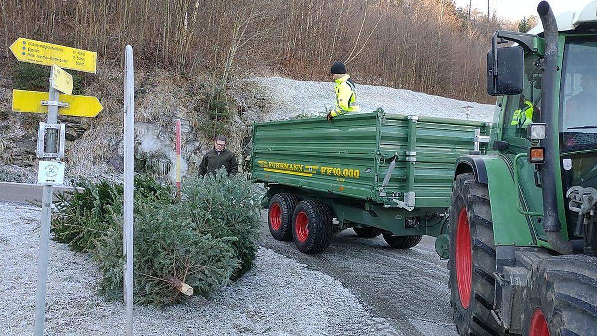 Am Samstag, 8. Jänner, werden Christbäume abgeholt