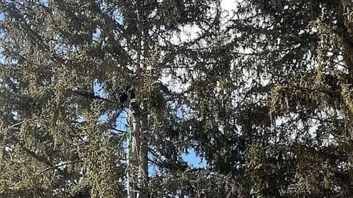 Suchbild: Wer findet Kevin Unterberger?