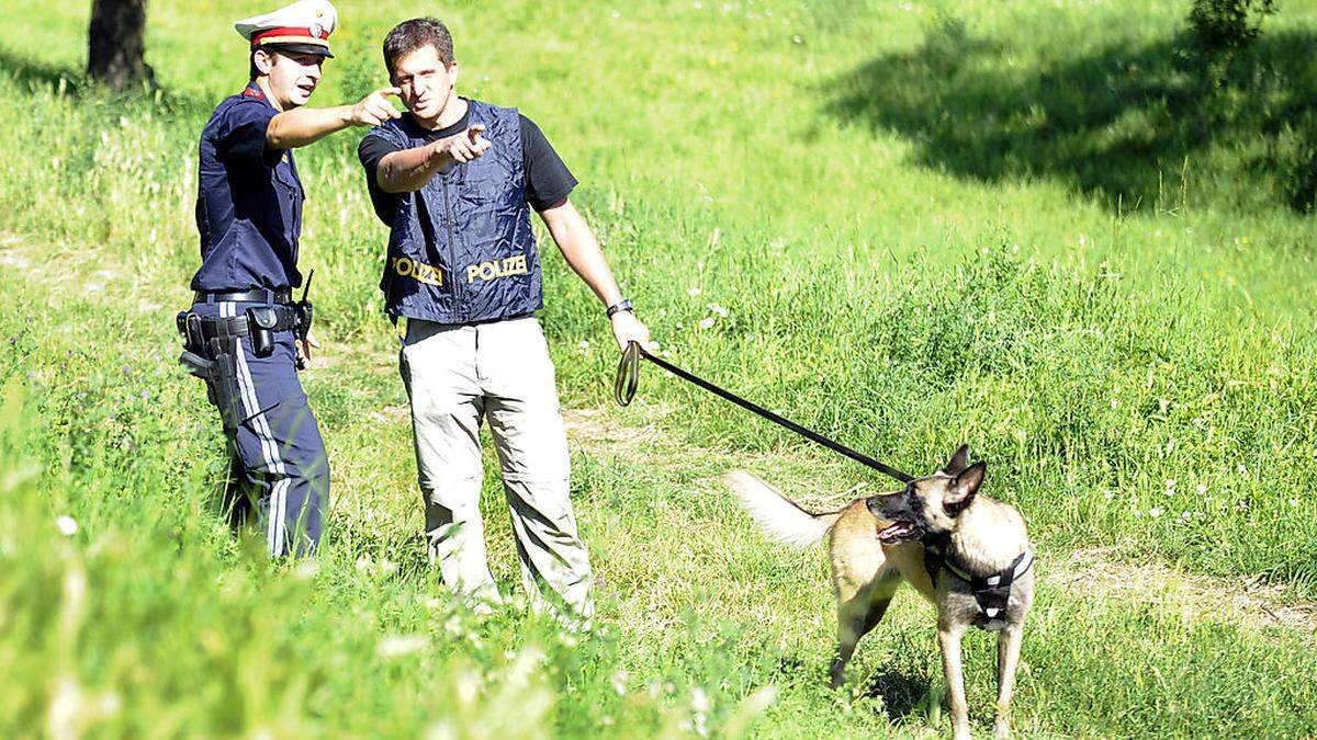 Einsatzkräfte suchen mit Hunden nach dem Mann (Archivbild)