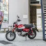 Den Doktor laust der Affe: Helmut Marko und sein Monkey