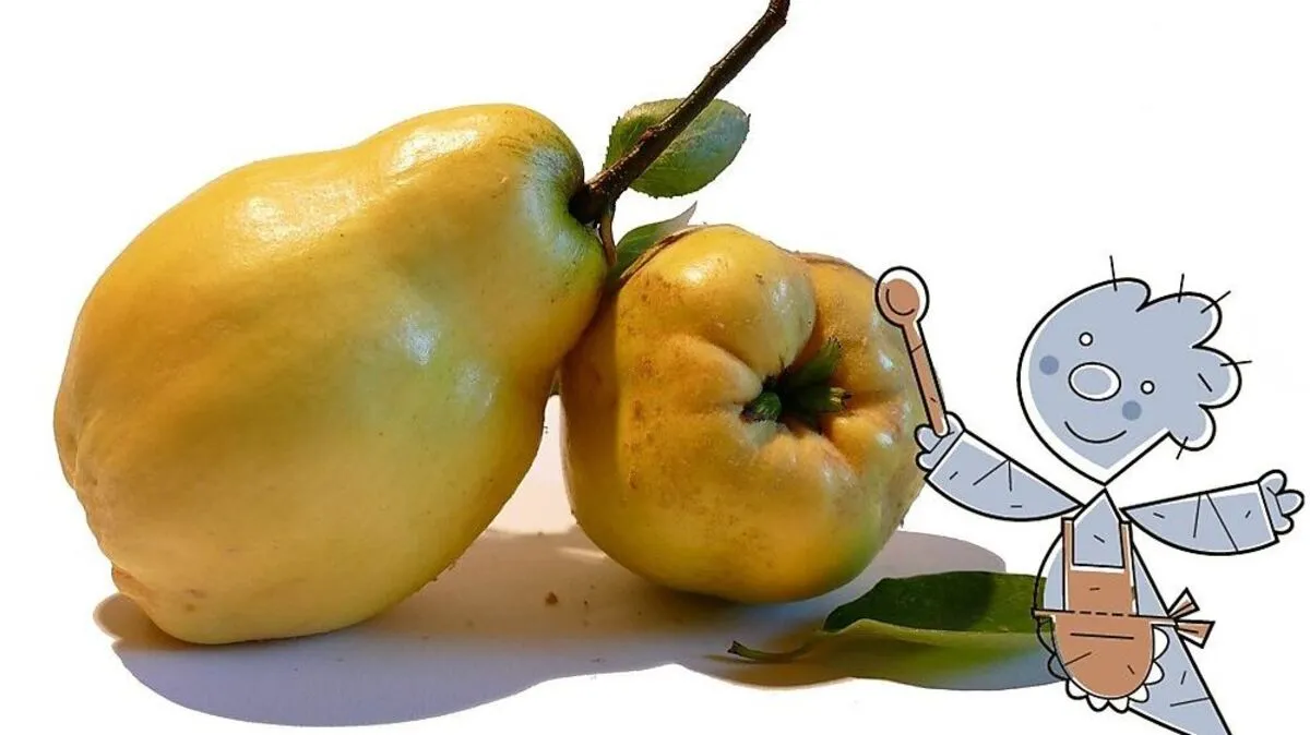 Likör aus Quitten (Symbolbild)