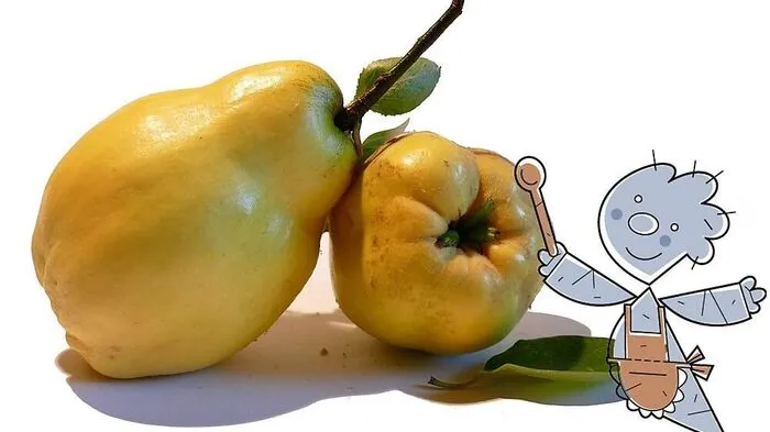 Likör aus Quitten (Symbolbild)