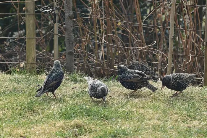 Nicht nur die Pflanzen-, sondern auch die Tierwelt erwacht wieder.