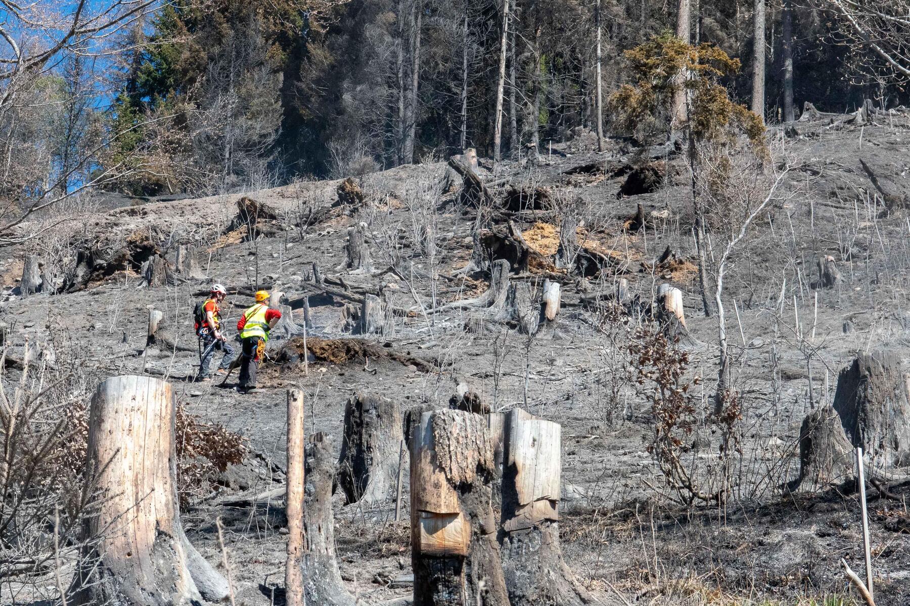 Beim größten Waldbrand Kärntens gibt es immer noch kein „Brand aus“