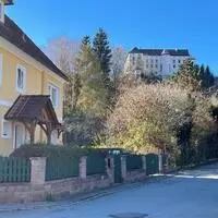 Auf dem mit Bäumen und Sträuchern bewachsenen Grundstück hinter dem gelben Haus in der Tierangerstraße will Betreiber das Projekt umsetzen. Einsprüche haben Baustart verhindert
