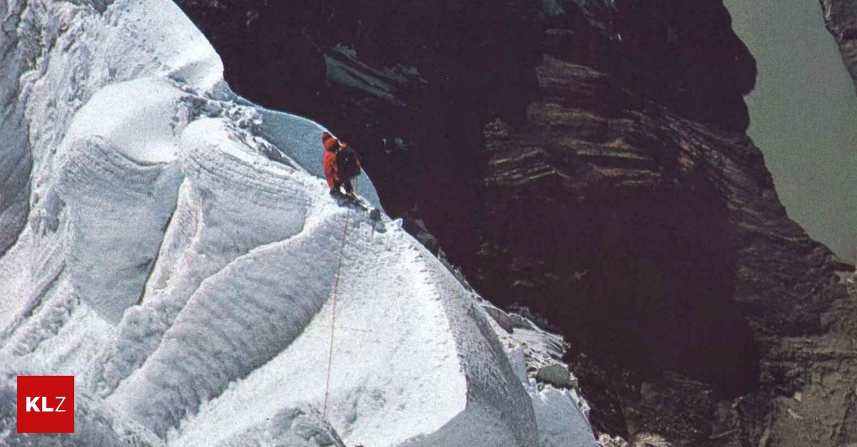 Wild-unterwegs-Leo-Schl-mmer-Ich-bin-froh-dass-ich-berlebt-habe-