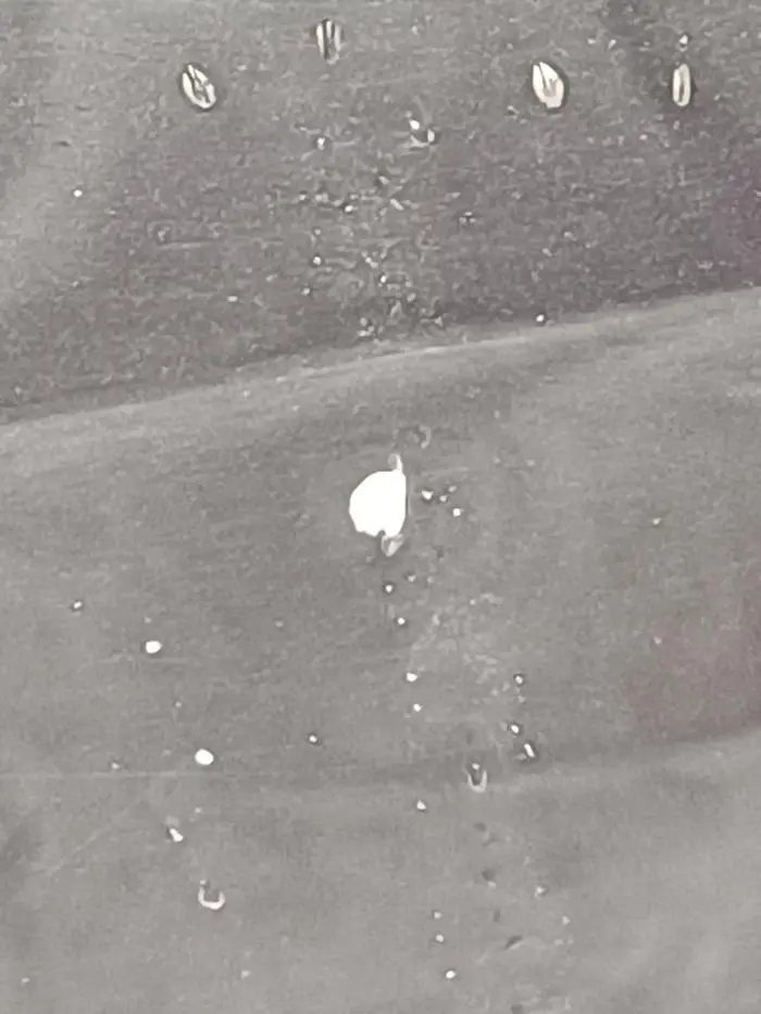 Delle vom Geschoß auf der Beifahrerseite.