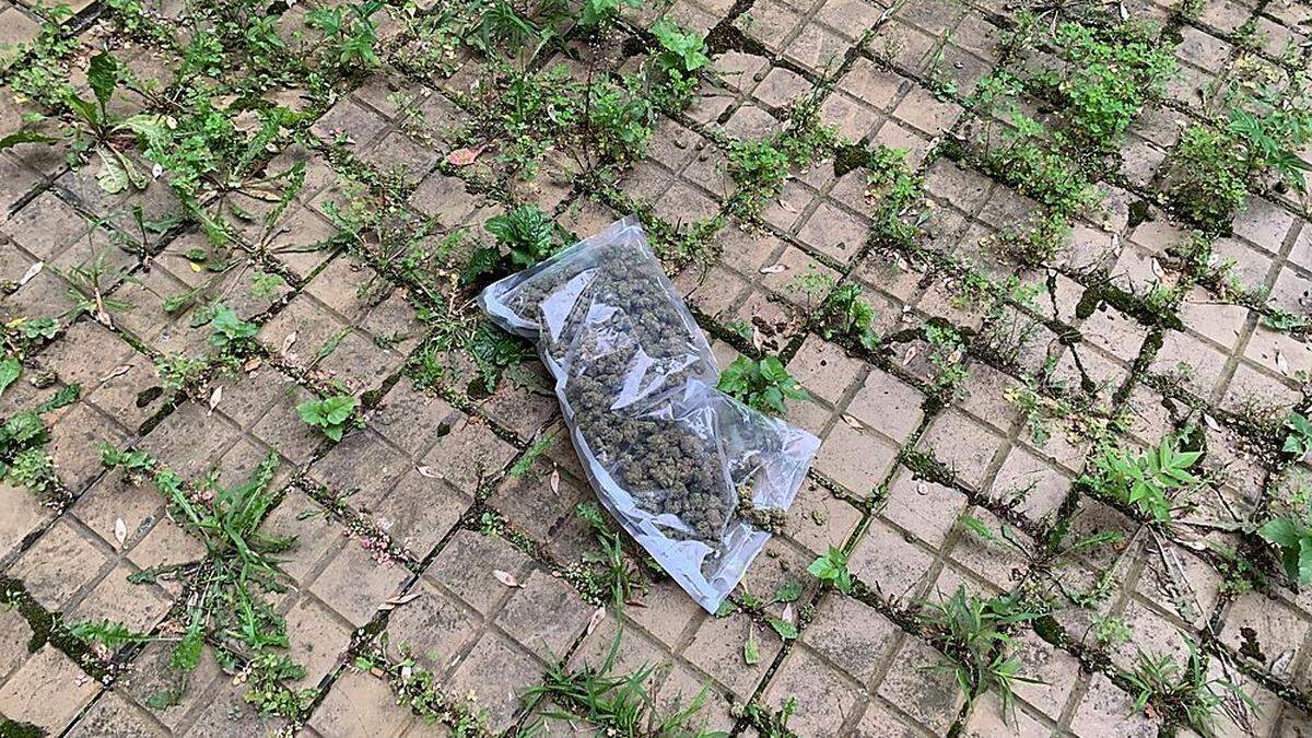 Während die Wega die Tür aufbrach, warf der Ältere eine schwarze Tasche sowie einen durchsichtigen Plastiksack mit 970 Gramm Marihuana vom Balkon