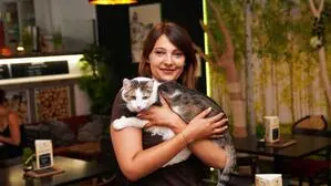 Verena Kulterer veranstaltet in ihrem Katzencafé in Klagenfurt regelmäßig Speeddating-Events