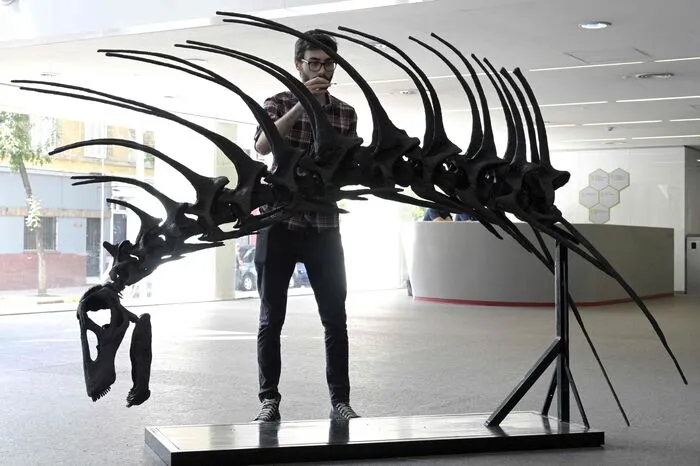 Die Funktion der Stacheln ist unter Paläontologen umstritten. Mit der Entdeckung des Bajadasaurus hoffen die Forscher, offene Fragen dieser Art beantworten zu können. "Wir glauben, dass die langen, spitzen Stacheln an Hals und Rücken von Bajadasaurus potenzielle Raubtiere abschrecken sollten", sagte Gallina laut einer Mitteilung.