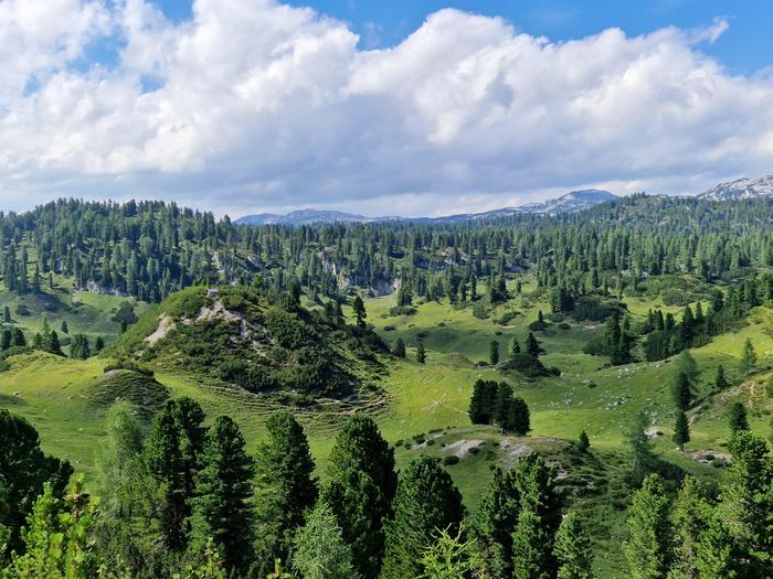 Die Grafenbergalm liegt auf 1780 Metern Seehöhe im Norden der Marktgemeinde Haus im Ennstal. Hinter ihr erstreckt sich das weitläufige Dachsteingebirge