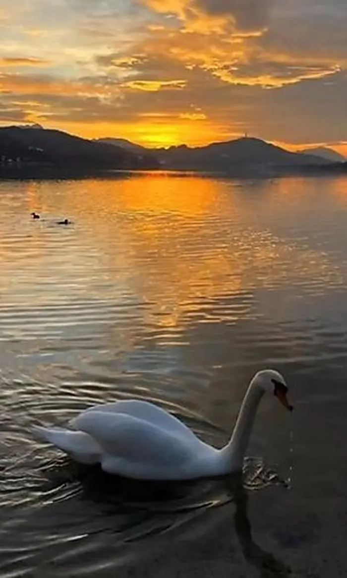 Und weil es so schön ist, gleich noch ein Foto ...