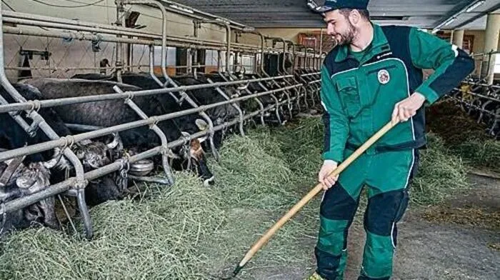 Auch wenn Bauer oder Bäuerin ausfallen, müssen die Tiere versorgt werden