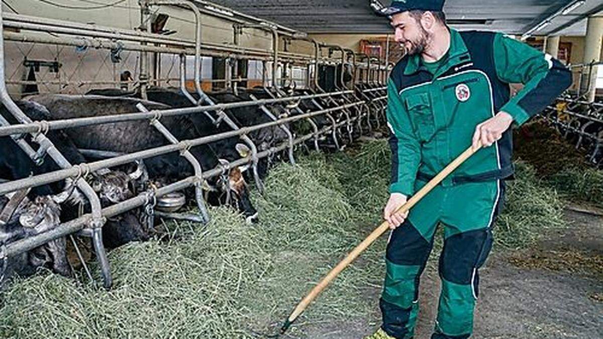 Auch wenn Bauer oder Bäuerin ausfallen, müssen die Tiere versorgt werden