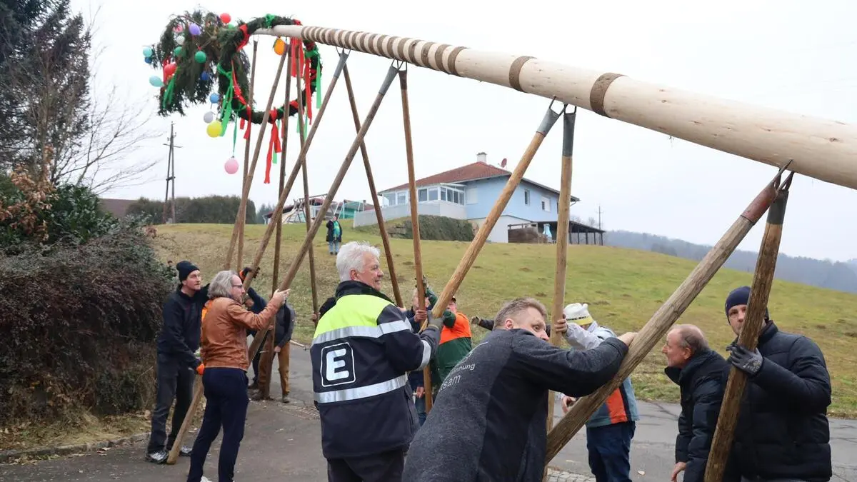 Zehn Männer stellen einen Geburtstagsbaum auf, der wie ein bunter Maibaum aussieht | Immer öfter werden in der Südoststeiermark Geburtstagsbäume aufgestellt. Hier in Auersbach