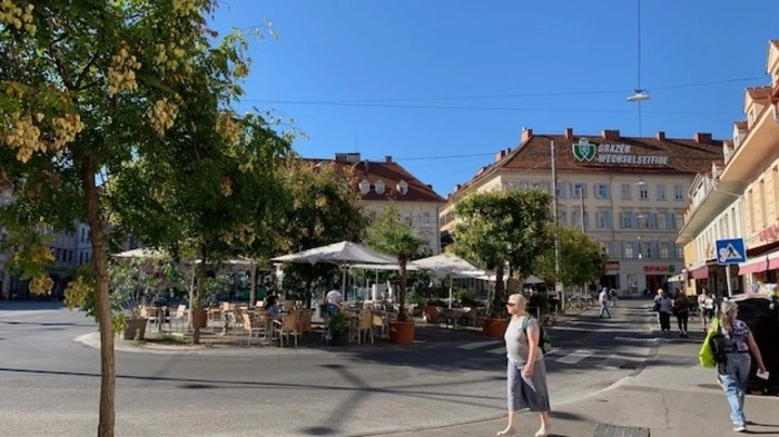 So verdorrt sind die Bäume auf dem Jakominiplatz. Selbst, wenn mancher von prominenten Politikern als Pate gespendet worden ist (siehe in der Bilderserie weiter hinten). Klicken Sie sich durch die Bilder ...