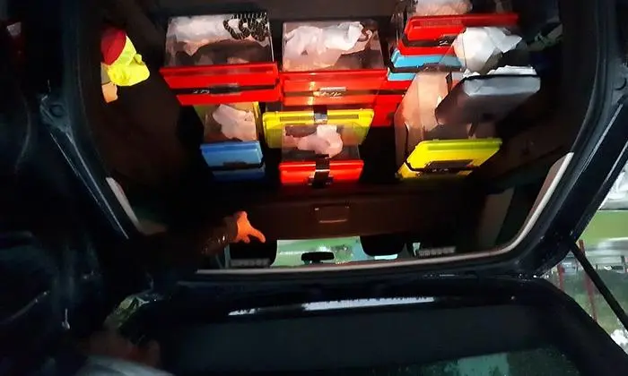 So kamen die Giftschlangen im Reptilienzoo an