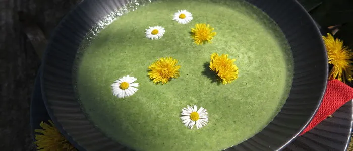 Gesund und außerdem schnell zubereitet ist diese schmackhafte Frühlingssuppe