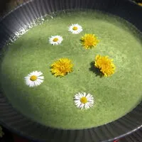 Gesund und außerdem schnell zubereitet ist diese schmackhafte Frühlingssuppe