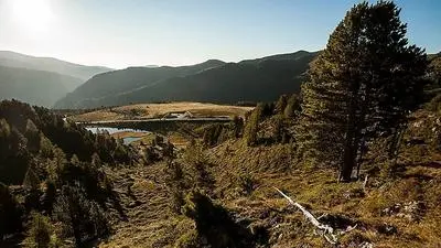 Der Biosphärenpark Nockberge