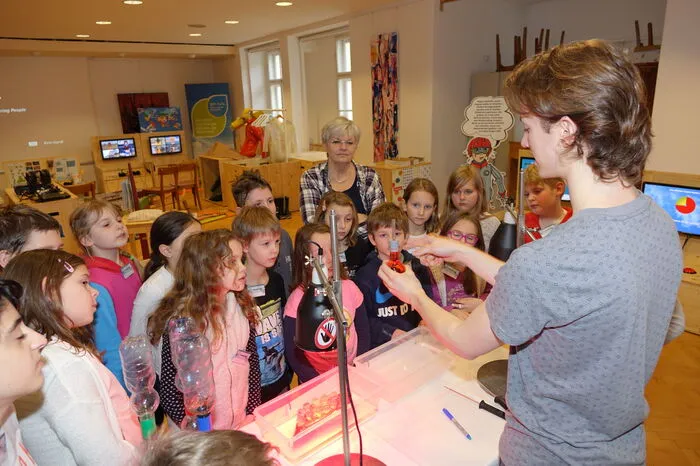 Der Besuch ist kostenlos, das hat auch die dritte Klasse der Volksschule Hartberg genutzt.