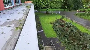 Der starke Sturm entwurzelte unzählige Bäume in Bad Radkersburg