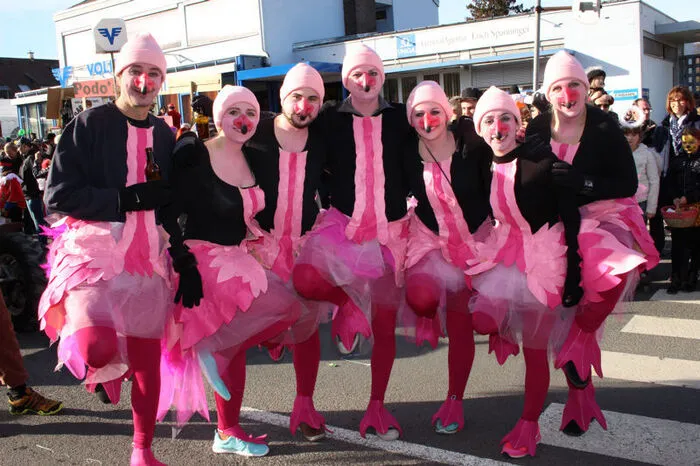 Diese Flamingos waren vor vier Jahren im Bezirk unterwegs.
