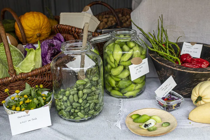 Wer gedeacht hat, er oder sie kenne alle Sorgen Gemüse, die bei uns wachsen, kann beim Stand von Gartenvielfalt Wildhaber auf Entdeckungsreise gehen. Die Gärtnerei aus Brückl präsentiert etwa Melothrias, also Mini-Gurken.