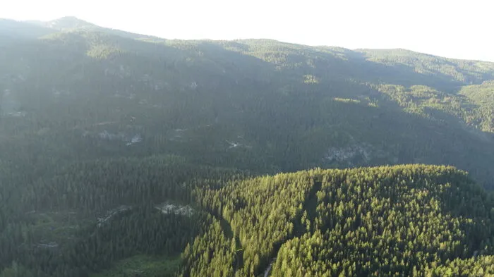 Blitze und Hitze sind die Ursache für die Waldbrände auf dem Stoderzinken (Gröbming). Kaum war das Feuer von Montag gelöscht, wurde am Dienstagnachmittag ganz in der Nähe abermals ein Waldbrand entdeckt. Wieder brannte ein steiler Hang, diesmal zwischen Stoderzinken und Kammspitze.