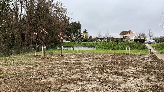 Im unteren Bereich des insgesamt circa 1500 Quadratmeter großen Areals wurden sieben Bäume gesetzt