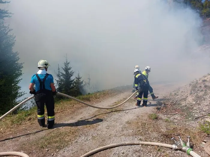 Feuerwehr im Löscheinsatz
